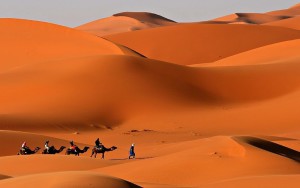 Fin-año-en-el-desierto