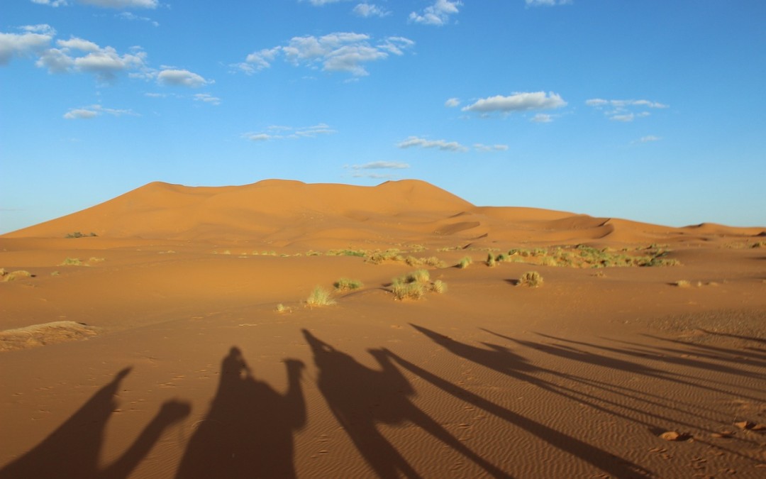 Circuitos privados por Marruecos, la mejor manera de conocer este increíble país